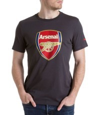 Puma krekls Afc Fan Tee Crest Q3 Grey 749297 12