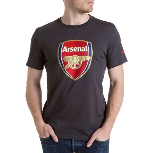 Puma krekls Afc Fan Tee Crest Q3 Grey 749297 12