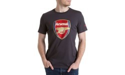 Puma AFC Fan Tee Crest Q3 Grey 749297 12 T-shirt