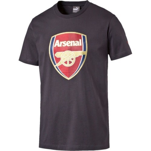 Puma футболка Afc Fan Tee Crest Q3 Grey 749297 12