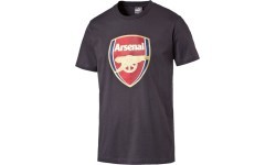 Puma krekls Afc Fan Tee Crest Q3 Grey 749297 12