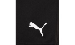 Puma детские шорты Teamrise Short Jr Black 704943 04