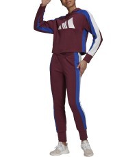 Спортивный костюм женский Adidas W TS Big Logo Burgundy H48550
