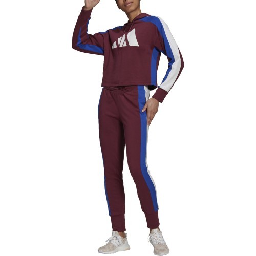 Adidas sieviešu sporta tērps W TS Big Logo Burgundy H48550