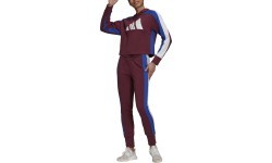 Adidas W TS Big Logo Women's Tracksuit Burgundy H48550