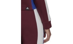 Adidas W TS Big Logo Women's Tracksuit Burgundy H48550