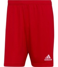 Футбольные шорты Adidas Entrada 22 красные H61735