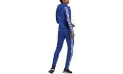 Adidas W Energize Ts sieviešu sporta tērps zils H24117