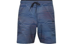 Reebok TS Speed 2.0 AOP vīriešu šorti, zili, H46610