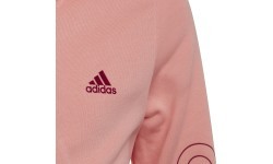 Adidas girls' hoodie G Lin Fz Hoodie Pink HE1968