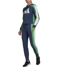 Adidas W TS Big Logo women's tracksuit, blue GL9480