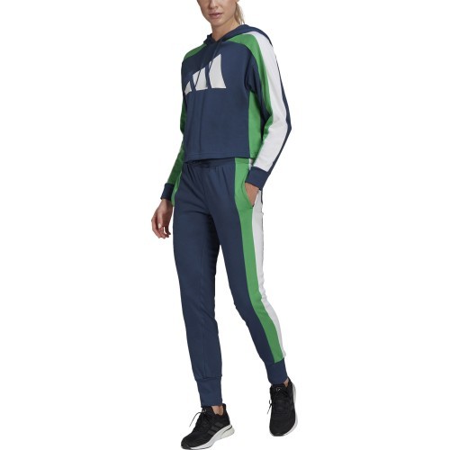 Adidas W TS Big Logo sieviešu sporta tērps, zils GL9480