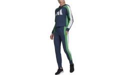 Adidas W TS Big Logo women's tracksuit, blue GL9480
