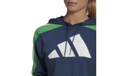 Adidas W TS Big Logo sieviešu sporta tērps, zils GL9480