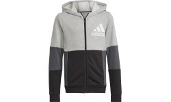 Толстовка подростковая Adidas U CB Hoodie серая HN8564