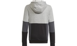 Толстовка подростковая Adidas U CB Hoodie серая HN8564