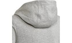 Adidas pusaudžu džemperis U CB Hoodie pelēks HN8564