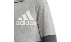 Adidas pusaudžu džemperis U CB Hoodie pelēks HN8564
