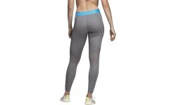 Женские леггинсы Adidas Ask Spr Tights Lg, серые DT6213