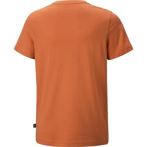 Puma Ess+ 2 Col Logo Tee pusaudžu T-krekls oranžs 586985 95