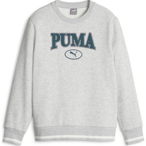 Puma bērnu džemperis Squad Crew Fl Grey 676355 04