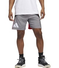 Adidas Galaxy vīriešu šorti, pelēki/sarkani HE2902