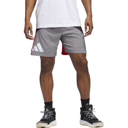 Adidas Galaxy vīriešu šorti, pelēki/sarkani HE2902