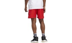 Adidas Galaxy vīriešu šorti, pelēki/sarkani HE2902