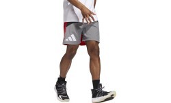 Adidas Galaxy vīriešu šorti, pelēki/sarkani HE2902