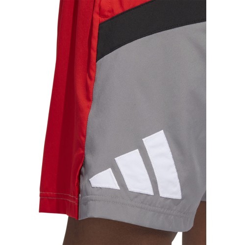 Мужские шорты Adidas Galaxy, серо-красные HE2902