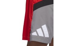 Adidas Galaxy vīriešu šorti, pelēki/sarkani HE2902