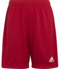 Шорты Adidas Ent22 подростковые красные H57501