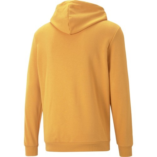 Puma vīriešu džemperis Ess+ 2 Col Big Logo Yellow 586765 30
