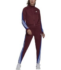 Женский спортивный костюм Adidas W Teamsports TS Burgundy H24122
