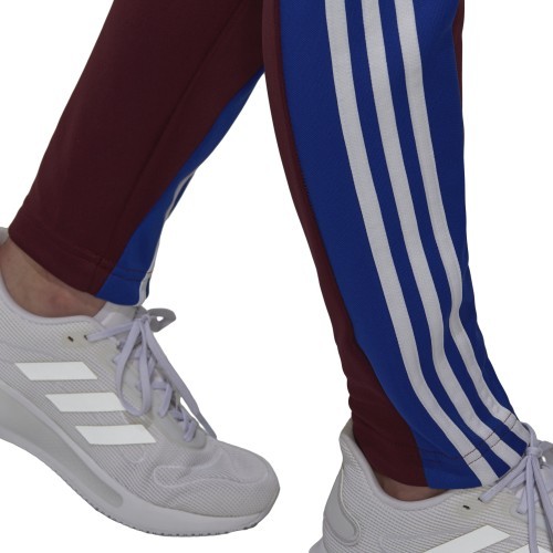 Adidas sporta tērps sievietēm W Teamsports TS Burgundy H24122