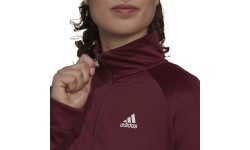 Женский спортивный костюм Adidas W Teamsports TS Burgundy H24122