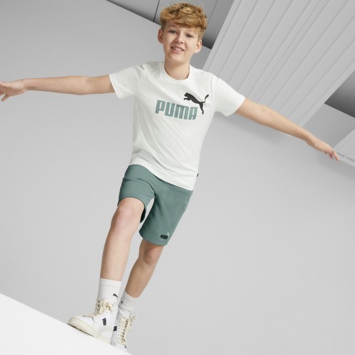 Puma šorti pusaudžiem Ess+ 2 Col Green 586989 84