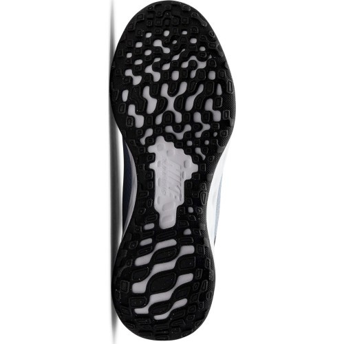 Женские кроссовки Nike Revolution 6 NN, серые DC3729 400
