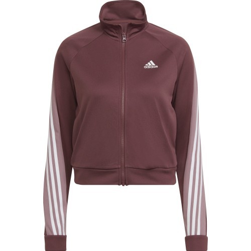 Adidas Women's Tracksuit W Teamsport TS Bordeaux HD6568