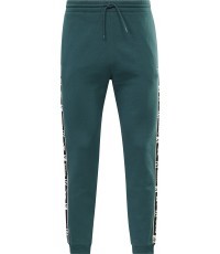 Reebok Ri TAPE Jogger vīriešu sporta bikses, zaļas HJ7844