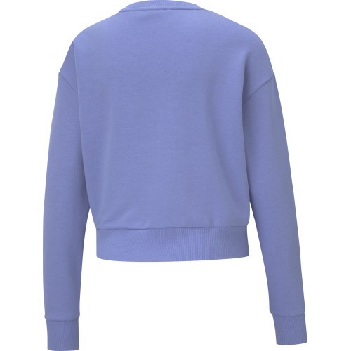 Puma Rebel Crew TR Haz Women's Sweatshirt Purple 585750 14