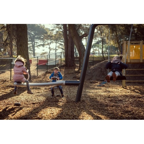 Swing and Seesaw Set Inter-Play Mantis