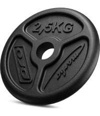 Čuguna svara disks Marbo Slim 2,5 kg 31 mm