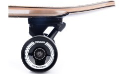 Longboard'as Tempish Amar