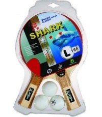 Набор для пинг-понга "Дибиор" (2 биты, 3 мяча)