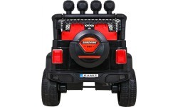 NEW Raptor DRIFTER 4 x 4 Flames