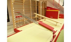 MUSCLE-TRAINING BENCH FOR USE ON WALL BARS