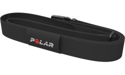 POLAR Equine belt for horse