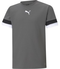 Puma pusaudžu T-krekls TeamRise Jersey Grey 704938 13