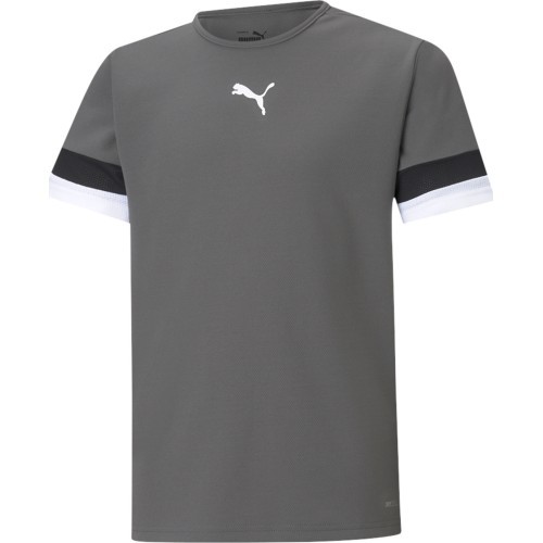 Puma TeamRise Jersey Junior T-Shirt Grey 704938 13